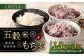 【定期便年3回】 五穀米 (黒・赤) ＆ もち麦 セット 計1.3kg