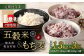 【ご自宅用】【定期便年3回】 五穀米（黒・赤）＆もち麦セット