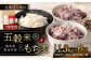 【ご自宅用】【定期便年6回】 五穀米（黒・赤）＆もち麦セット