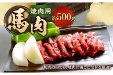 【桜屋】 馬肉焼肉用 500g カット済 ／ 馬焼き 馬肉 焼き肉