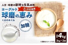 【定期便2回】 球磨の恵みヨーグルト （加糖） 2kg （1kg×2パック） （合計4kg） ヨーグルト 牛乳 乳製品 お菓子 菓子 洋菓子 定期便 九州 熊本県 相良村 冷蔵