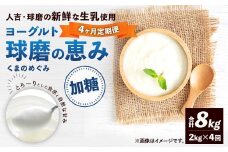 【定期便4回】 球磨の恵みヨーグルト （加糖） 2kg （1kg×2パック） （合計8kg） ヨーグルト 牛乳 乳製品 お菓子 菓子 洋菓子 定期便 九州 熊本県 相良村 冷蔵
