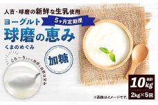 【定期便5回】 球磨の恵みヨーグルト （加糖） 2kg （1kg×2パック） （合計10kg） ヨーグルト 牛乳 乳製品 お菓子 菓子 洋菓子 定期便 九州 熊本県 相良村 冷蔵