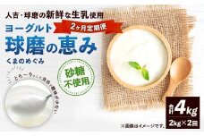 【定期便2回】 球磨の恵みヨーグルト （砂糖不使用） 2kg （1kg×2パック） （合計4kg） ヨーグルト 牛乳 乳製品 お菓子 菓子 洋菓子 定期便 九州 熊本県 相良村 冷蔵