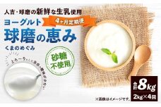 【定期便4回】 球磨の恵みヨーグルト （砂糖不使用） 2kg （1kg×2パック） （合計8kg） ヨーグルト 牛乳 乳製品 お菓子 菓子 洋菓子 定期便 九州 熊本県 相良村 冷蔵
