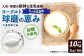 【定期便5回】球磨の恵みヨーグルト（砂糖不使用） 2kg（1kg×2パック）
