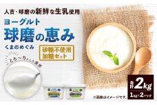 球磨の恵みヨーグルト （加糖、砂糖不使用） 各1kg 計2パック （合計2kg） ヨーグルト 牛乳 乳製品 お菓子 菓子 洋菓子 九州 熊本県 相良村 冷蔵