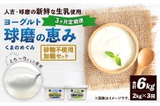【定期便3回】 球磨の恵みヨーグルト（加糖、砂糖不使用） 各1kg 計2パック （計6kg） ヨーグルト 牛乳 乳製品 お菓子 菓子 洋菓子 定期便 九州 熊本県 相良村 冷蔵