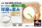 【定期便3回】球磨の恵みヨーグルト（加糖、砂糖不使用） 各1kg 計2パック