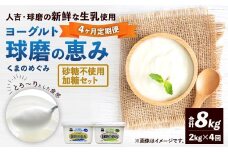 【定期便4回】 球磨の恵みヨーグルト （加糖、砂糖不使用） 各1kg 計2パック （計8kg） ヨーグルト 牛乳 乳製品 お菓子 菓子 洋菓子 定期便 九州 熊本県 相良村 冷蔵