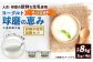 【定期便4回】球磨の恵みヨーグルト（加糖、砂糖不使用） 各1kg 計2パック