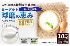 【定期便5回】 球磨の恵みヨーグルト （加糖、砂糖不使用） 各1kg 計2パック （計10kg） ヨーグルト 牛乳 乳製品 お菓子 菓子 洋菓子 定期便 九州 熊本県 相良村 冷蔵