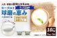 【定期便5回】球磨の恵みヨーグルト（加糖、砂糖不使用） 各1kg 計2パック