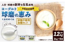 【定期便6回】 球磨の恵みヨーグルト （加糖、砂糖不使用） 各1kg 計2パック （計12kg） ヨーグルト 牛乳 乳製品 お菓子 菓子 洋菓子 定期便 九州 熊本県 相良村 冷蔵