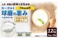 【定期便6回】 球磨の恵みヨーグルト（加糖、砂糖不使用） 各1kg 計2パック
