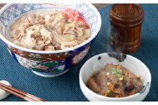 牛丼の具と牛すじ煮込みの食べ比べセット 各5パック 計10パック 牛肉 牛バラ肉 牛スジ肉 牛丼 具 オリジナルタレ 牛すじ煮込み 甘辛醤油 冷凍
