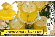 くねぶゼリーセット [子守唄の里五木 熊本県 五木村 51120325] スイーツ ゼリー 熊本県 特産