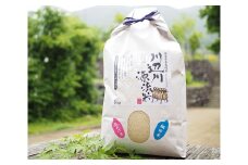 五木の掛け干し米 5kg [子守唄の里五木 熊本県 五木村 51120332] お米 精米 米 こめ コメ ご飯 ごはん 白米 れんげ米 熊本県 特産