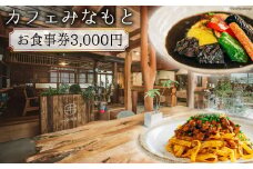 カフェみなもと お食事券 3,000円分 [日添 熊本県 五木村 51120330] 白滝公園 喫茶 ランチ 地産地消 CAFE 熊本県 特産