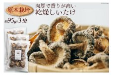 原木栽培 乾燥しいたけ 約95g×3P 肉厚 熊本県 特産 [日添 熊本県 五木村 51120303] 椎茸 しいたけ 乾燥椎茸 乾燥 シイタケ 熊本県 五木村 特産