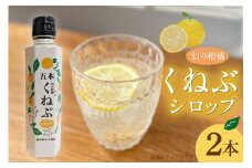 くねぶ シロップ 2本 セット [子守唄の里五木 熊本県 五木村 51120338] フルーツシロップ かき氷シロップ ドリンクシロップ 希釈