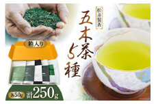 【栽培期間中農薬・化学肥料不使用】お茶 五木茶50g×5種セット 計250g [松井製茶 熊本県 五木村 51120217] セット 緑茶 茶葉 冠茶 玉緑茶 在来種 かなやみどり 白折 五木茶