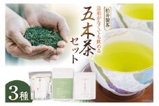 【栽培期間中農薬不使用・化学肥料不使用】 お茶 緑茶 急須がなくても飲める 五木茶 セット [松井製茶 熊本県 五木村 51120226] 小分け 個包装 粉末 ティーパック ティーバッグ スティック