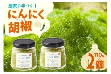 こしょう にんにく農家の手づくり にんにく胡椒 110g 2個 セット [山之一 熊本県 五木村 51120278] にんにく 胡椒 青唐辛子 ペースト 小分け