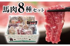 純国産馬肉8種セット 計2200g 《60日以内に出荷予定(土日祝除く)》 熊本肥育 2年連続農林水産大臣賞受賞 送料無料 馬刺し 馬肉 馬スジ ホルモン 燻製 霜降り ハンバーグ 熊本県山江村