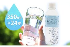 熊本県山江村産 人吉・球磨の名水 ありがとう 350ml×24本 一般社団法人 水都《30日以内に出荷予定(土日祝除く)》水 天然水 ミネラルウォーター 8400ml