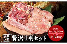 天草大王 贅沢1羽セット 約1.5kg【幻の地鶏】もも・むね・ささみ 各2枚《60日以内に出荷予定(土日祝除く)》 st-p