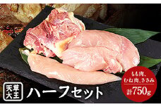 天草大王　ハーフセット 約750g【幻の地鶏】もも・むね・ささみ各1枚 熊本県産 山江村《60日以内に出荷予定(土日祝除く)》 st-p