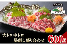 大トロ中トロ馬刺し盛り 600g《30日以内に出荷予定(土日祝除く)》馬刺し 熊本 山江村 大トロ 中トロ 食べ比べ 馬肉 霜降り 山江村（桜屋）