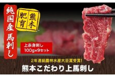 馬刺し 上赤身 ブロック 国産 熊本肥育 冷凍 生食用 たれ付き(10ml×9袋) 100g×9セット 肉 期間限定 絶品 牛肉よりヘルシー 馬肉 予約 平成27年28年 農林水産大臣賞受賞 熊本県山江村《7月中旬-9月末頃出荷》
