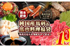 純国産馬刺し＆馬肉料理福袋 計1kg 熊本肥育 2年連続農林水産大臣賞受賞 送料無料 上赤身馬刺し100g たてがみ50g 馬とろ150g 馬ソーセージ500g 燻製 霜降り ハン馬ーグ200g(2個入り) タレ付き 熊本県山江村《90日以内に出荷予定(土日祝除く)》 st-p