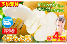 ＼2025年産先行予約／ くまもと梨 訳あり 約4kg 熊本県産 くまもと梨 5玉～16玉前後 期間限定 フルーツ 予約 スイーツ 秋 旬 山江村 クール便 《2025年8月下旬‐11月上旬頃出荷》 SDGs 梨 熊本県産  なし 梨 果物 くだもの デザート ギフト  ご贈答 訳あり 旬の果物 ナシ