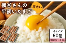横谷さんの平飼いたまご Mサイズ60個入り 破損保証10個含む 山江村ヤマメ生産組合《30日以内に出荷予定(土日祝除く)》卵 たまご タマゴ 熊本県山江村 st-p