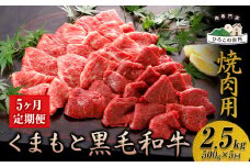 【5ヶ月定期便】くまもと黒毛和牛 焼肉用 500g 計 2.5kg《お申込み月の翌月から出荷開始》 山江村（桜屋） st-p