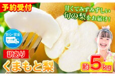 ＼2025年産先行予約／  くまもと 梨 訳あり 熊本県産 約5kg 6～17玉 フルーツ 予約 秋 旬 クール便 《2025年8月下旬‐11月上旬頃出荷》 SDGs 梨  なし 果物 デザート ギフト ご贈答 旬の果物 豊水梨 あきづき 新興梨