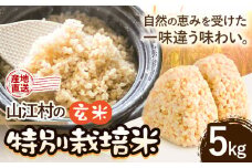 玄米 山江村 の 特別 栽培米 玄米 5kg 株式会社のら のらしごと人《10月上旬-11月末頃出荷》熊本県 球磨郡 山江村 玄米 げんまい 産地直送 特別栽培米 特別栽培農産物