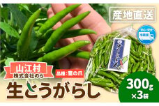 生とうがらし 300g×3袋 計900g 株式会社のら のらしごと人《8月中旬-9月末頃出荷》熊本県 球磨郡 山江村 唐辛子 とうがらし 生唐辛子 青唐辛子 鷹の爪 熊本県産 野菜
