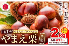 GI認証登録 山江村の やまえ栗 生栗 2kg 品種指定なし 筑波 美玖里 など旬の品種 やまえ栗ブランド部会 有限会社やまえ堂《9月下旬-10月中旬頃出荷》熊本県 球磨郡 山江村 栗 くり フルーツ 熊本県産 果物 早期 予約
