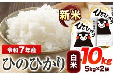 令和7年産 ひのひかり 新米 白米 10kg 《9月下旬-11月上旬頃出荷》 熊本県産 白米 精米 ひの 送料無料 熊本県 山江村