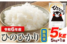 令和6年産 ひのひかり 無洗米 5kg 《7-14日以内に出荷予定(土日祝除く)予定》 熊本県産 無洗米 精米 ひの 送料無料 熊本県 山江村