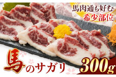馬のサガリ 300g 桜屋《30日以内に出荷予定(土日祝除く)》 熊本県 山江村 馬刺し 馬肉 肉 サガリ 送料無料