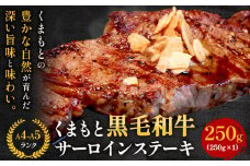 【A4～A5】くまもと黒毛和牛 サーロインステーキ 250g《30日以内に出荷予定(土日祝除く)》 牛肉 くまもと黒毛和牛 黒毛和牛 冷凍庫 サーロイン ステーキ