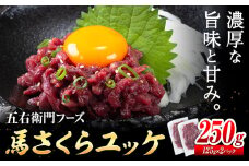 馬肉 馬さくらユッケ 125g × 2パック 250g 五右衛門フーズ 《60日以内に出荷予定(土日祝除く)》 熊本県 球磨郡 山江村 馬肉 肉 国産 馬 さくら ユッケ 小分け 送料無料