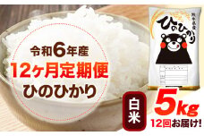 令和6年産 【12ヶ月定期便】 白米 ひのひかり 5kg 《お申し込み月の翌月から出荷開始》 熊本県産 白米 精米 ひの 送料無料 熊本県 山江村 SDGs 米 コメ こめ 国産