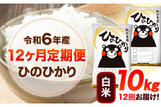 令和6年産 【12ヶ月定期便】 白米 ひのひかり 10kg 《お申し込み月の翌月から出荷開始》 熊本県産 白米 精米 ひの 送料無料 熊本県 山江村 SDGs 米 コメ こめ 国産