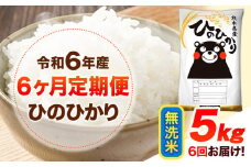 令和6年産 【6ヶ月定期便】 無洗米 ひのひかり 5kg 《お申し込み月の翌月から出荷開始》 熊本県産 無洗米 精米 ひの 送料無料 熊本県 山江村 SDGs 米 コメ こめ 国産
